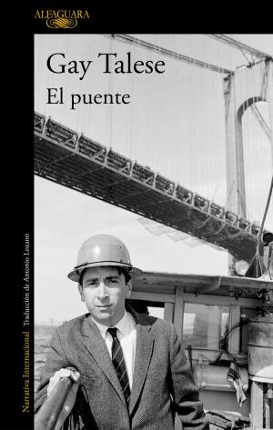 Cover of the book El puente by Drew Gates