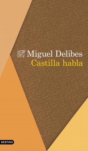 Cover of the book Castilla habla by María Zysman