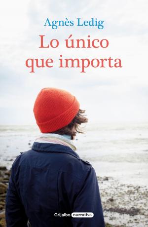 Cover of the book Lo único que importa by Geoffrey Archer