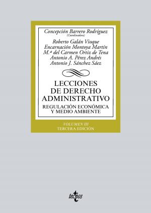 Cover of the book Lecciones de Derecho Administrativo by José T. Martín de Agar