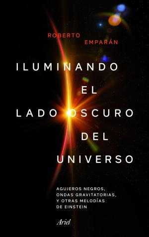 Cover of the book Iluminando el lado oscuro del universo by Andrés Pérez Ortega