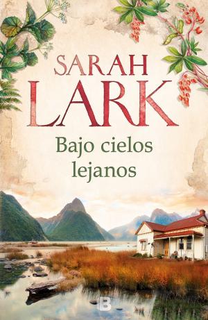 Book cover of Bajo cielos lejanos