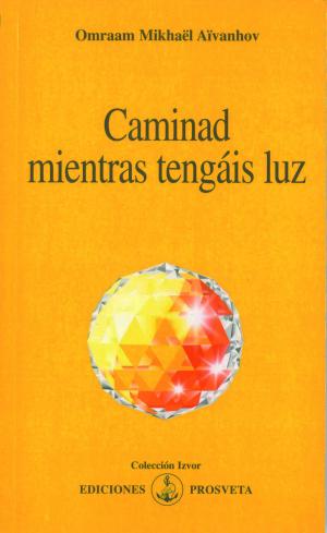Cover of the book CAMINAD MIENTRAS TENGÁIS LUZ by Oladele Akindeju
