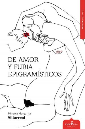 Cover of the book de amor y furia by Alphonse Daudet, Léon Hennique