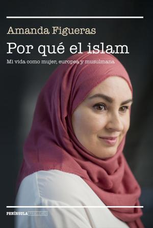 Cover of the book Por qué el islam by José Antonio Millán González