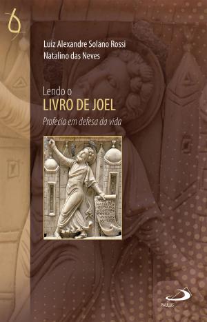 Cover of the book Lendo o Livro de Joel by John Quinata