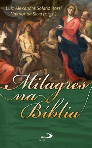 Cover of the book Milagres na Bíblia by Papa Bento XVI, Papa Francisco