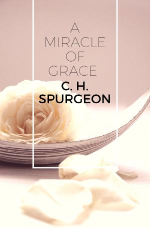 Cover of the book A Miracle of Grace by Nicole Oliver Snyder