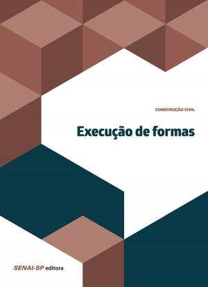 Cover of the book Execução de formas by 