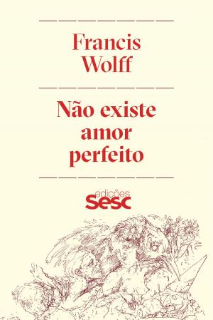 Cover of the book Não existe amor perfeito by ANTONIO CICERO, CÉLINE SPECTOR, CHARLES GIRARD, DAVID LAPOUJADE, EUGÊNIO BUCCI, FRANCIS WOLFF, FRANKLIN LEOPOLDO E SILVA, GUILHERME WISNIK, JORGE COLI, LUIZ ALBERTO OLIVEIRA, MARCELO JASMIN, NEWTON BIGNOTTO, OSWALDO GIACOIA JUNIOR, PEDRO DUARTE, VLADIMIR SAFATLE