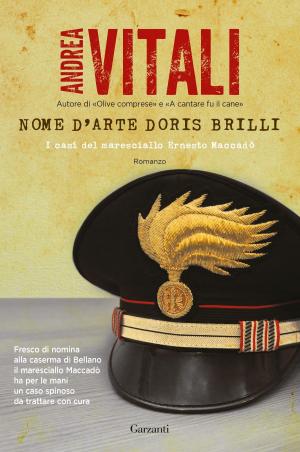 Book cover of Nome d'arte Doris Brilli