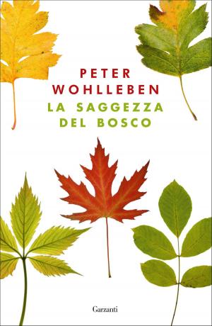 Cover of the book La saggezza del bosco by Joachim Fest