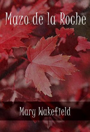 Cover of the book Mary Wakefield by Max du Veuzit