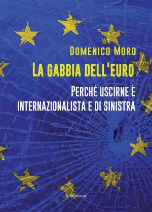 Cover of the book La gabbia dell'euro by Vladimiro Giacché