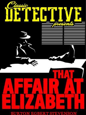 Cover of the book That Affair At Elizabeth by Émile Gaboriau