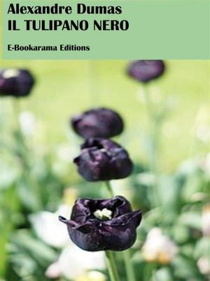 Cover of the book Il tulipano nero by Marcel Proust