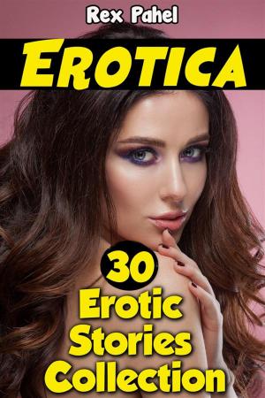 Cover of Erotica: 30 Erotic Short Stories Collection
