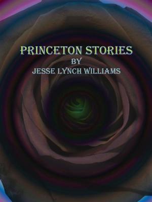 Cover of the book Princeton Stories by William Henry Hudson