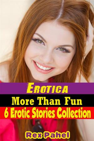 Cover of the book Erotica: More Than Fun: 6 Erotic Stories Collection by Rex Pahel