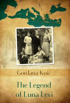 Cover of the book The Legend of Luna Levi by Rodžer King, Vladimir Matković (Translator)