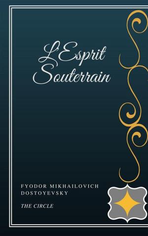 Book cover of L'Esprit Souterrain