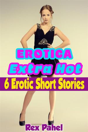 Cover of Erotica: Extra Hot: 6 Erotic Short Stories