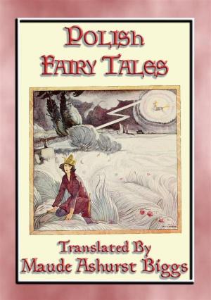 Cover of the book POLISH FAIRY TALES - illustrated children's tales from Poland by Anon E. Mouse, Retold by Parker Fillmore, Illustrated by Jay Van Everen