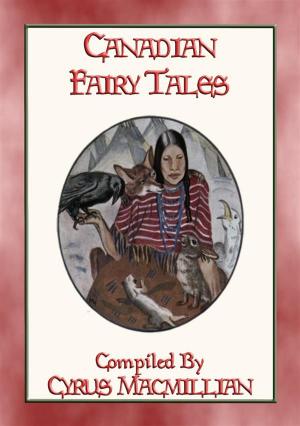 Book cover of CANADIAN FAIRY TALES - 26 Illustrated Native American Stories