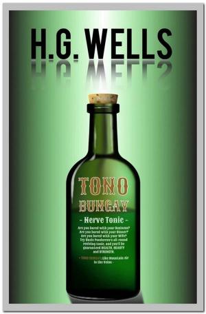 Cover of Tono-Bungay
