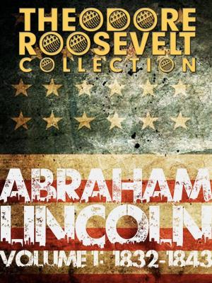 Book cover of The Papers And Writings Of Abraham Lincoln