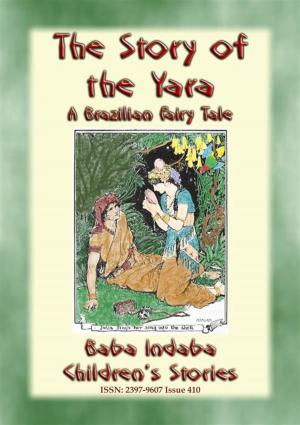 bigCover of the book THE STORY OF THE YARA - A Brazilian Fairy Tale of True Love by 