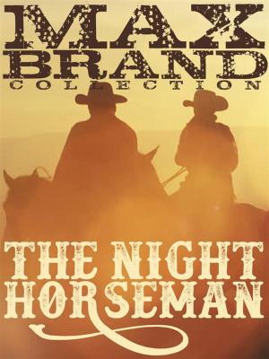 Book cover of The Night Horseman