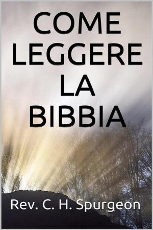 Book cover of Come leggere la Bibbia