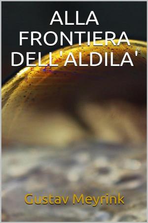 Book cover of Alla frontiera dell'al di là
