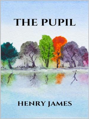 Cover of the book The pupil by Angela Grillo