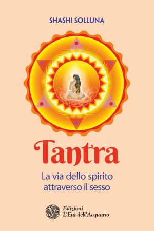 Cover of the book Tantra by Don Trent Jacobs