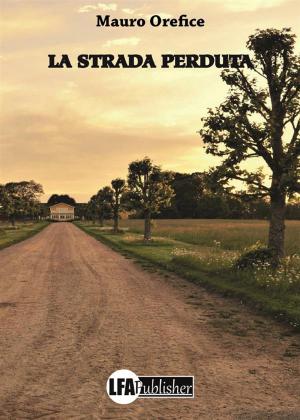 Cover of the book La strada perduta by Roberto Amatista, it