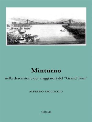Cover of the book Minturno nella descrizione dei viaggiatori del “Grand Tour” by Lorenzo de' Medici