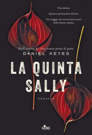 Cover of the book La quinta Sally by James Frey, Nils Johnson-Shelton