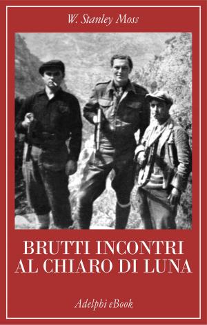 Cover of the book Brutti incontri al chiaro di luna by Martin Heidegger