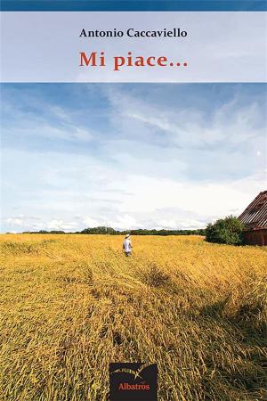 Cover of the book Mi piace by Franca La Ferla