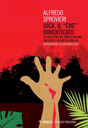 Cover of the book Joca, il “Che” dimenticato by Slavoj Žižek