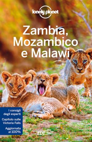 Book cover of Zambia, Mozambico e Malawi