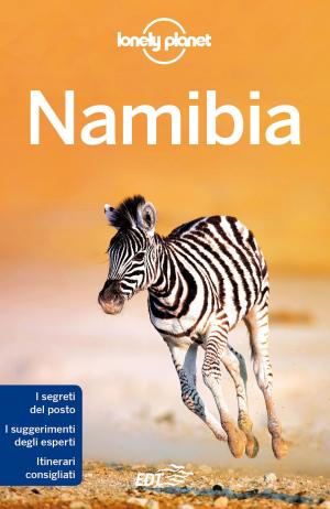 Cover of the book Namibia by Paul Clammer, Anna Kaminski