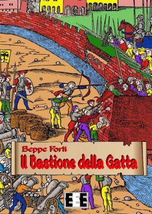 Cover of the book Il bastione della gatta by Vincenzo Mazzà