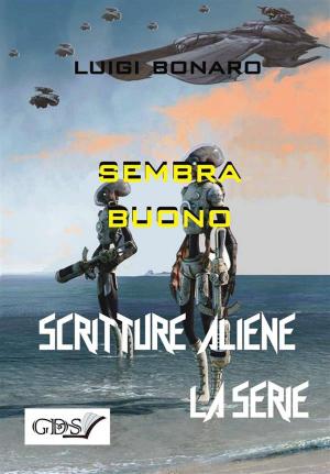 Book cover of Sembra buono