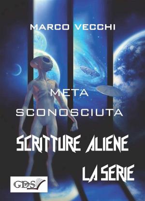 Book cover of Meta sconosciuta
