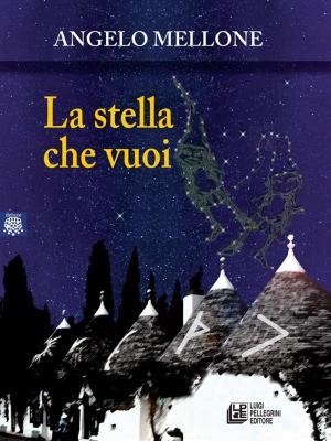 Cover of the book La stella che vuoi by Daniele Dottorini
