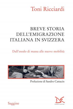 Book cover of Breve storia dell'emigrazione italiana in Svizzera