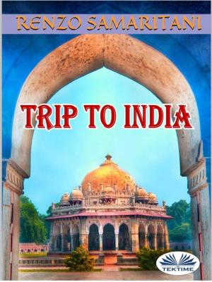 Cover of the book Trip to India by Juan Moisés De La Serna